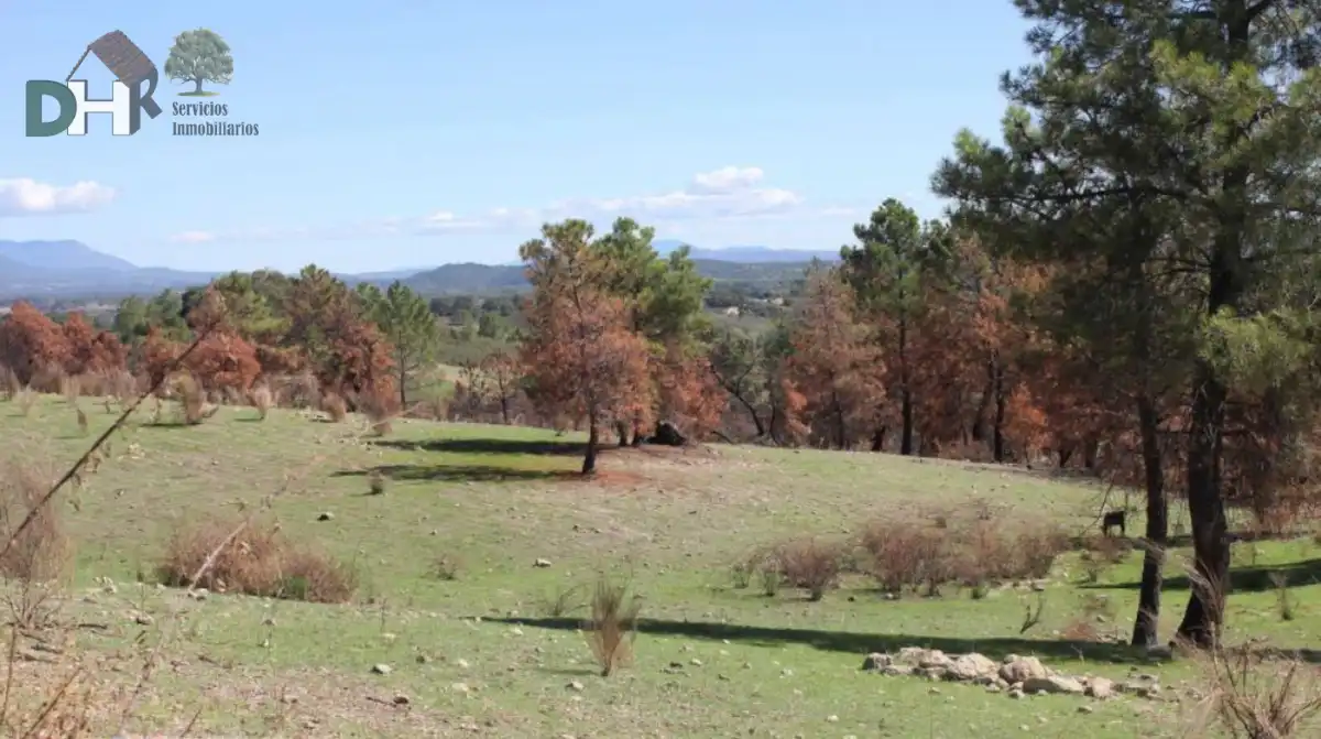 Terreni e lotti in vendita a Ruta de la Plata