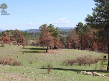Terrenys i solars en venda a Ruta de la Plata
