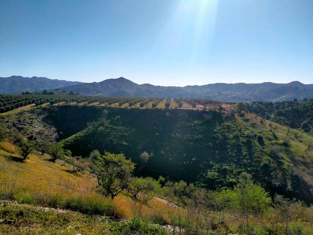 Terreno en Venta en Calle Cristo de la Veracruz, 31 en Almogía