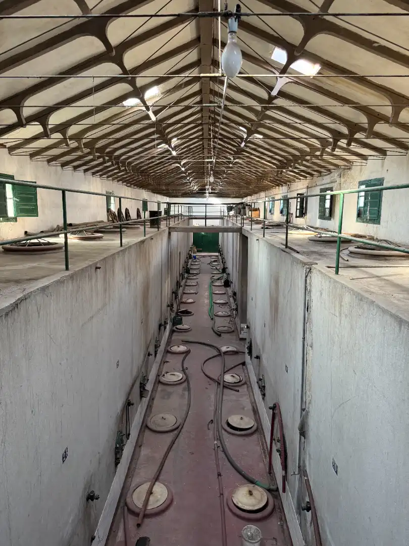 Nau industrial en venda a Calle Ronda de Watres, 12, Centro