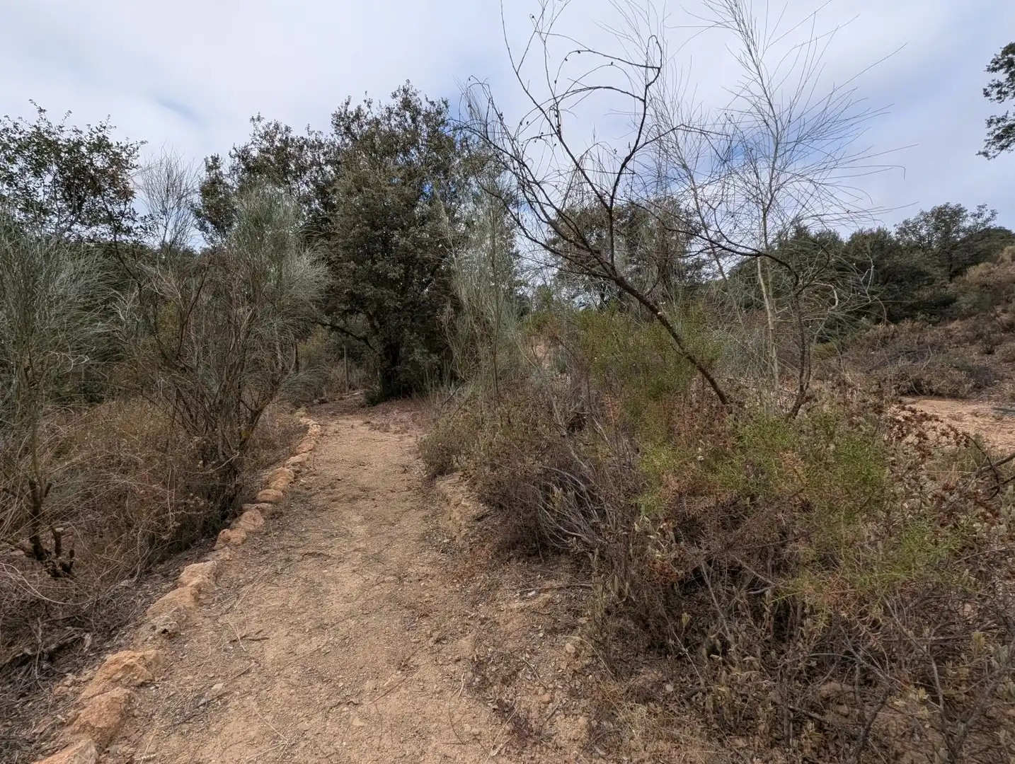 Casa o xalet en venda en Loja amb Calefacció, Jardí privat i Terrassa