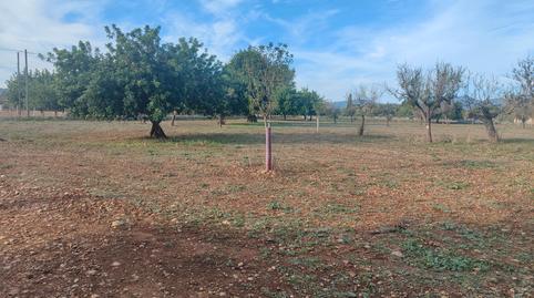 Foto 3 de Terreny en venda a Camí Moscari, 26, Selva, Illes Balears