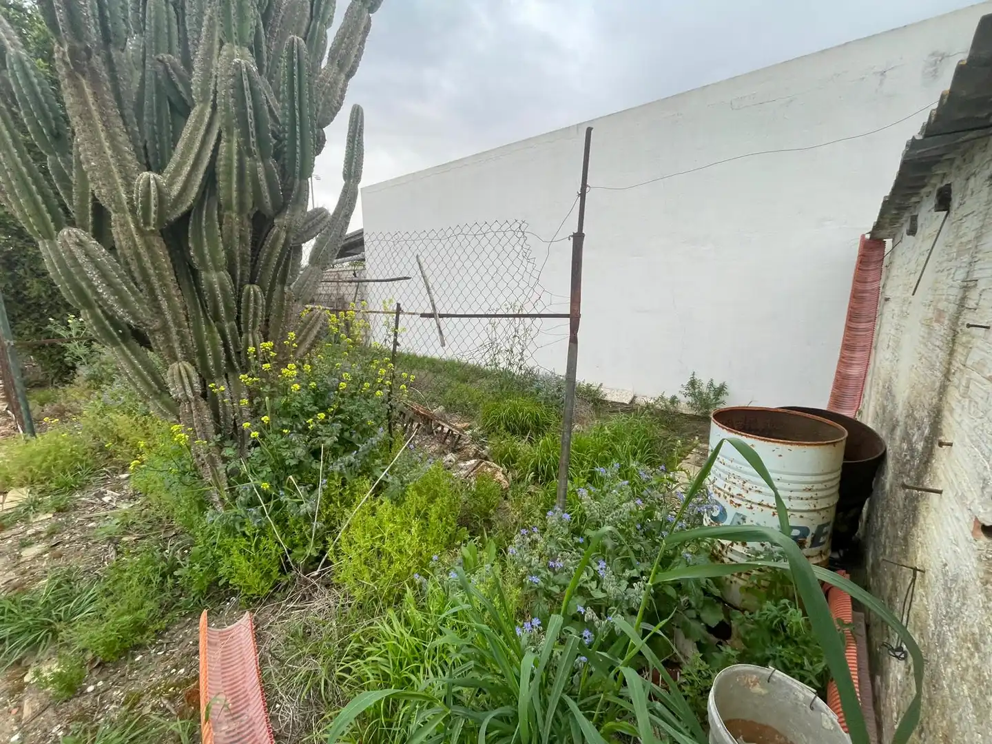 Houses for sale in Carrión de los Céspedes  with Private garden