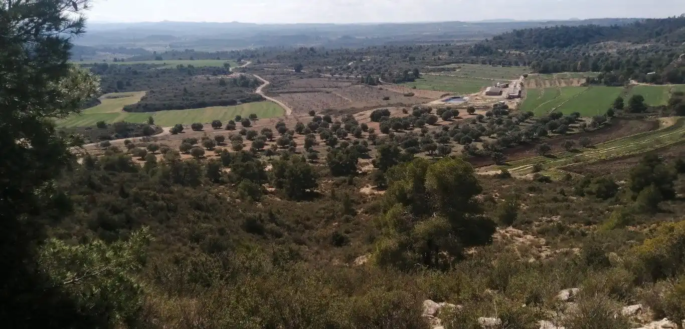 Terreno rústico en venta en Avinguda Terra Alta, imagen 2