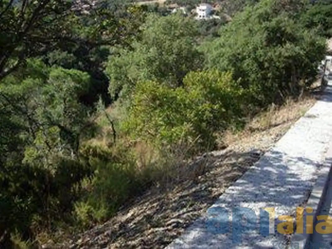 Residential land for sale in Carrer Avet, imagen 5