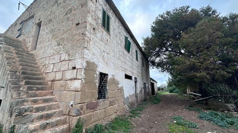 Gran parcela rústica en Son Sunyer., imatge 5