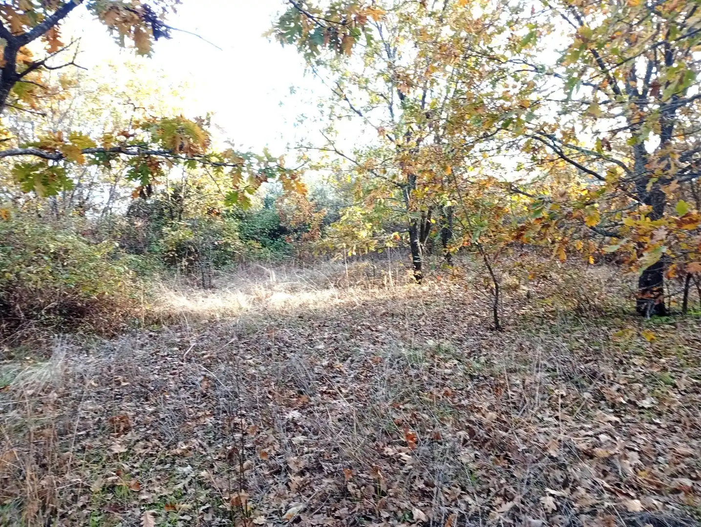 Terreni e lotti in vendita a Viandar de la Vera, imagen 17