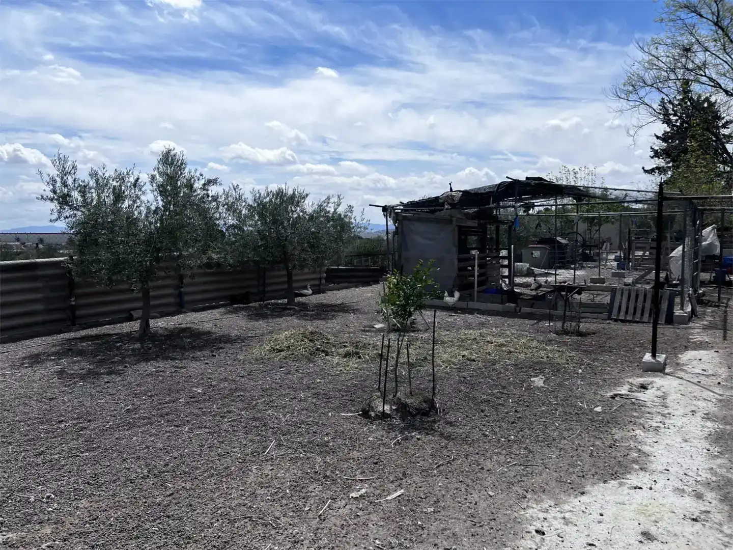 Finca rústica en venda en Las Torres de Cotillas, Murcia