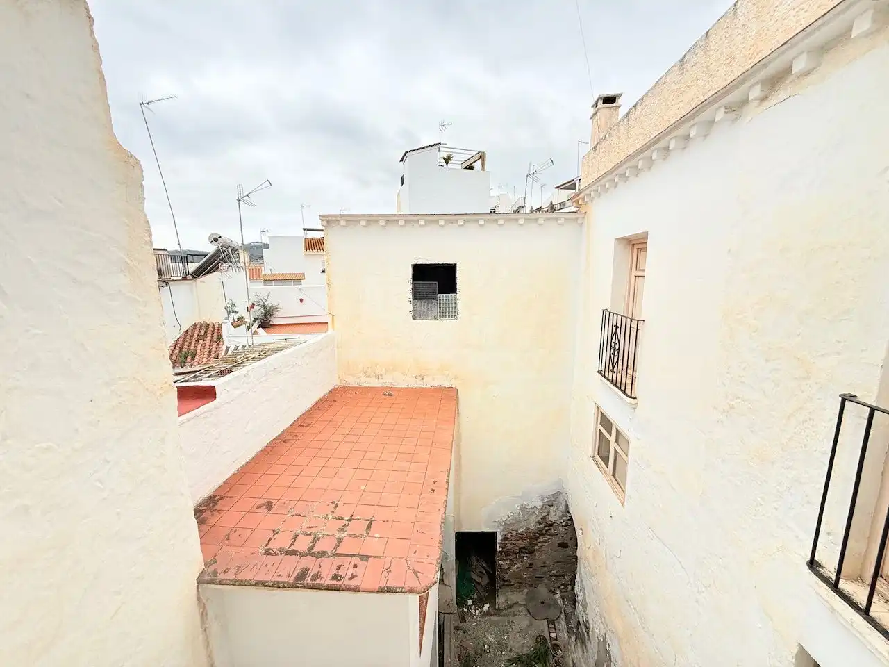 Vista exterior de Finca rústica en venta en Torrox