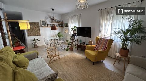 Foto 4 de Habitación en Arxiduc, Palma de Mallorca