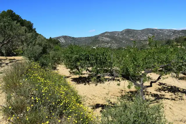 Finca rústica en venda en Cervera del Maestre