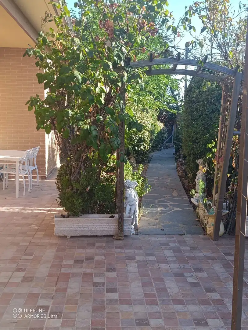 Jardí de Casa o xalet en venda en San Martín de la Vega amb Aire condicionat, Calefacció i Piscina
