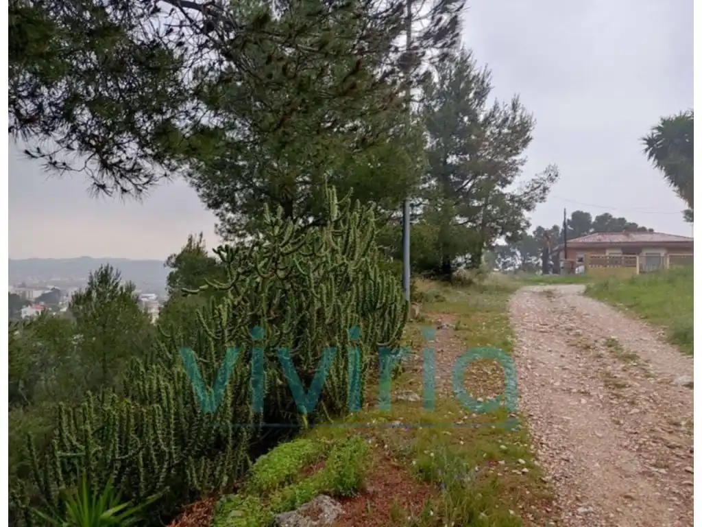 Terreny residencial en venda a Catadau Lloma Molina,46196, Catadau, València, imagen 11