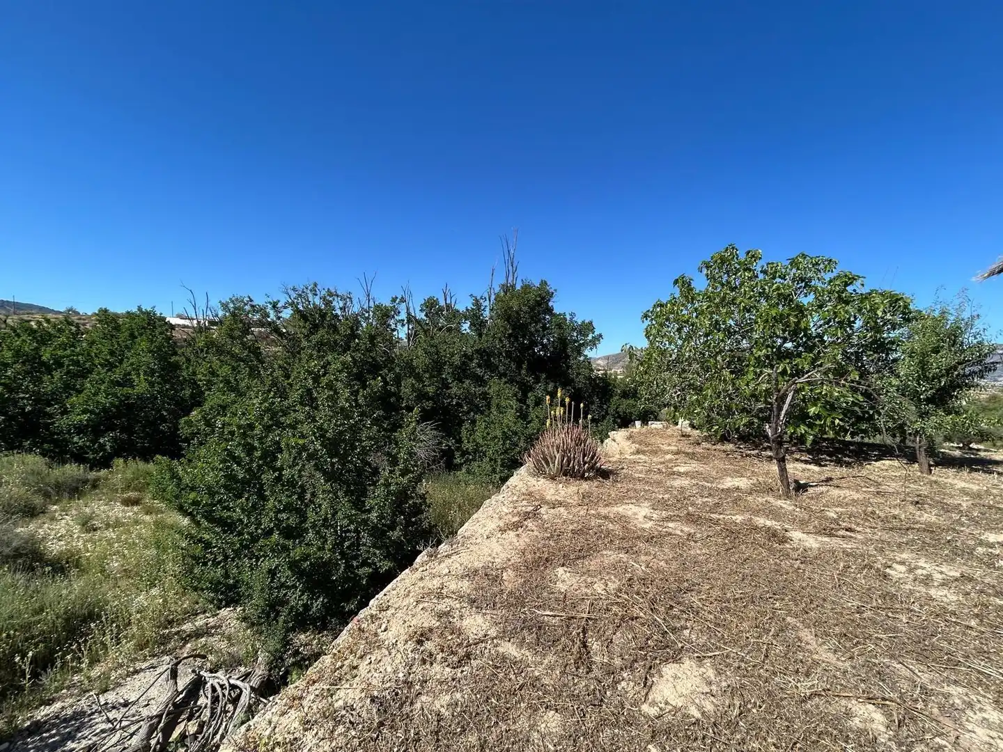 Casa rústica amb jardí en venda a Monóvar  / Monòver, imagen 43