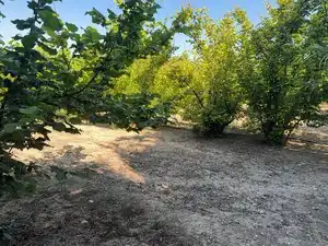 Terreno rustico in vendita a Avinguda de Reus 10, imagen 6