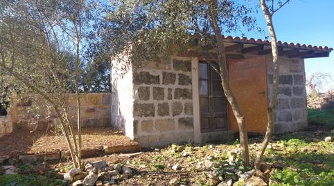 Foto 2 de Finca rústica en venta en  Polígono Diez, Manacor Centre, Manacor
