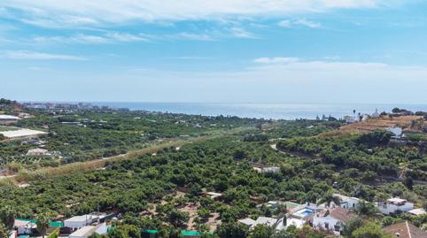 Foto 5 de Casa o chalet en venta en  Diseminados, Avda Pescia - Ctra de Frigiliana, Nerja