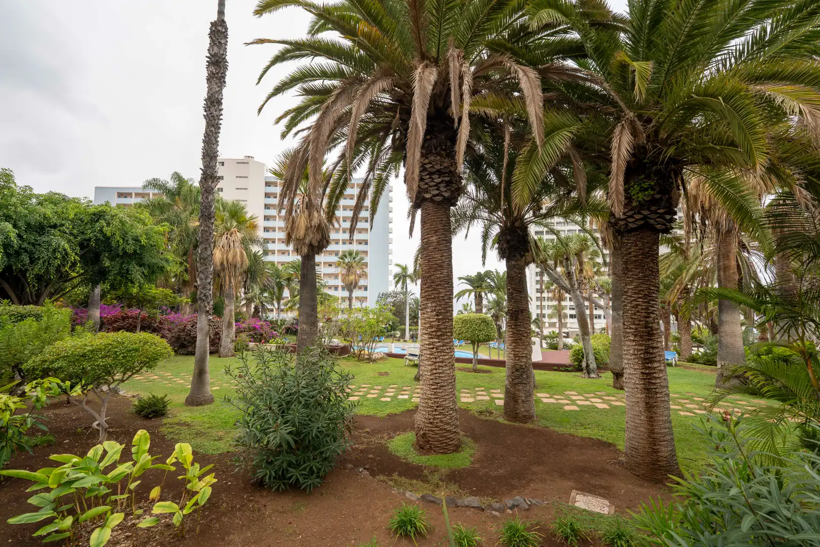 Garten von Wohnung zum Verkauf in Los Realejos mit Möbliert, Balkon und Gemeinschaftspool