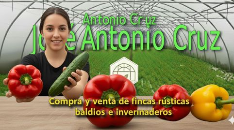 VENTA DE INVERNADEROS CERCA DEL 21 NIJAR, imatge 3
