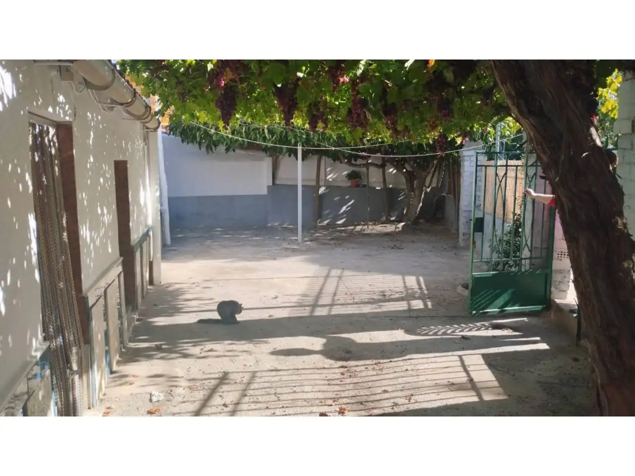 Vista exterior de Casa o xalet en venda en Benalúa amb Jardí privat