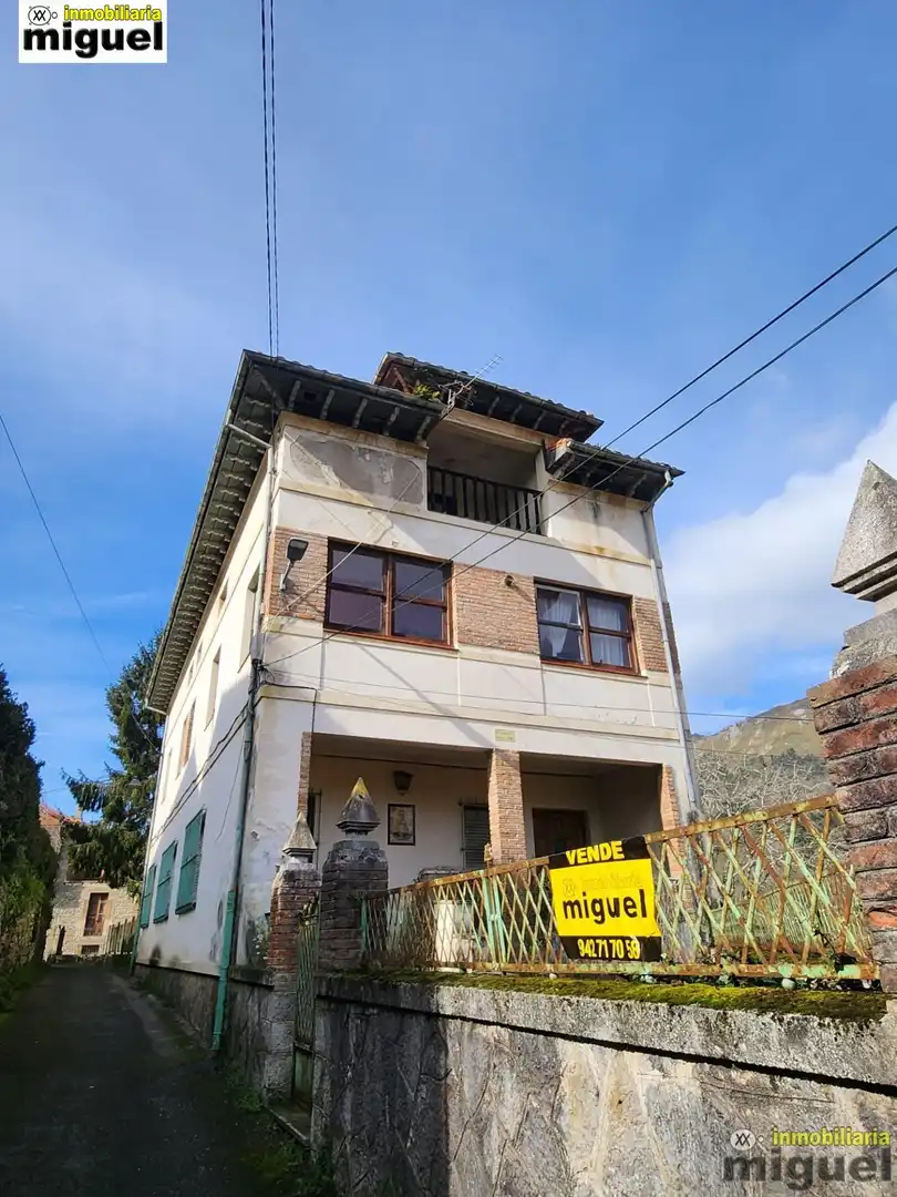 Vista exterior de Finca rústica en venta en Peñamellera Baja con Jardín privado y Terraza