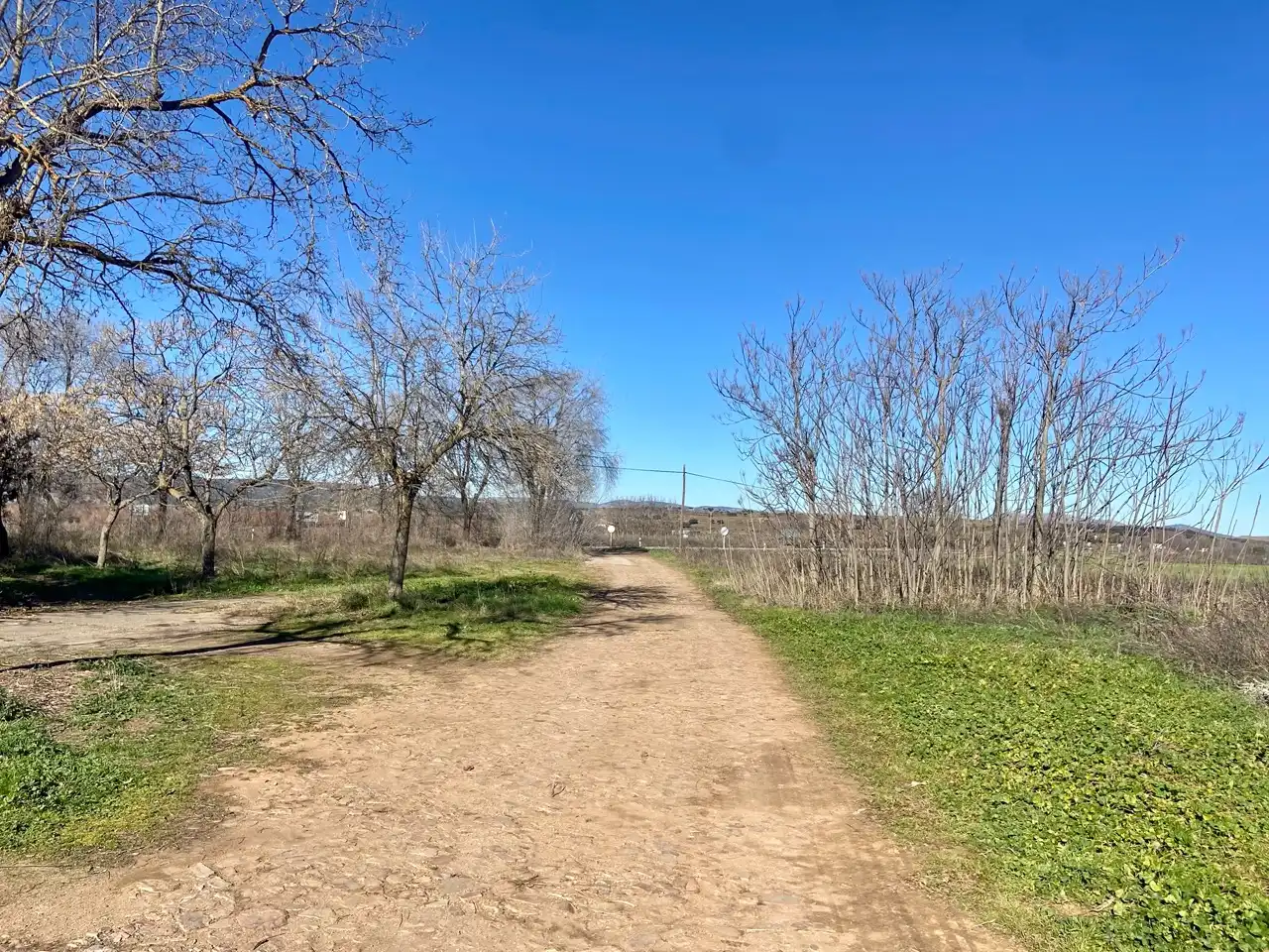 Residencial en venta en Miguelturra
