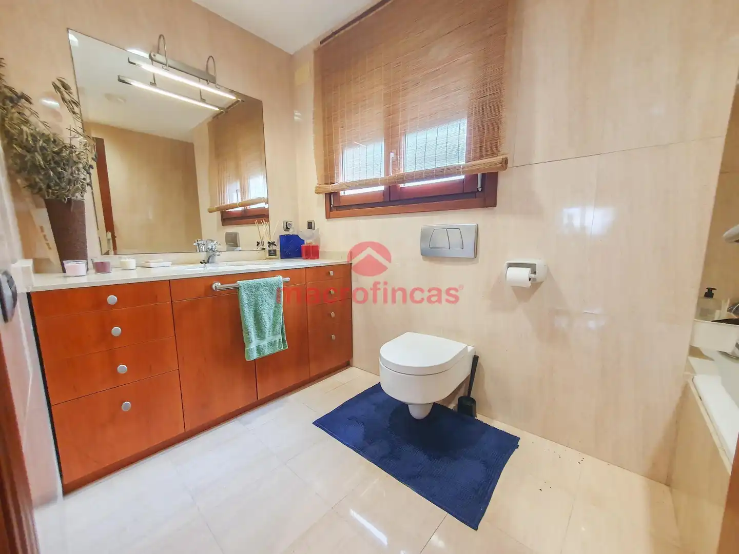 Bany de Casa o xalet en venda en Olesa de Montserrat amb Aire condicionat, Jardí privat i Terrassa