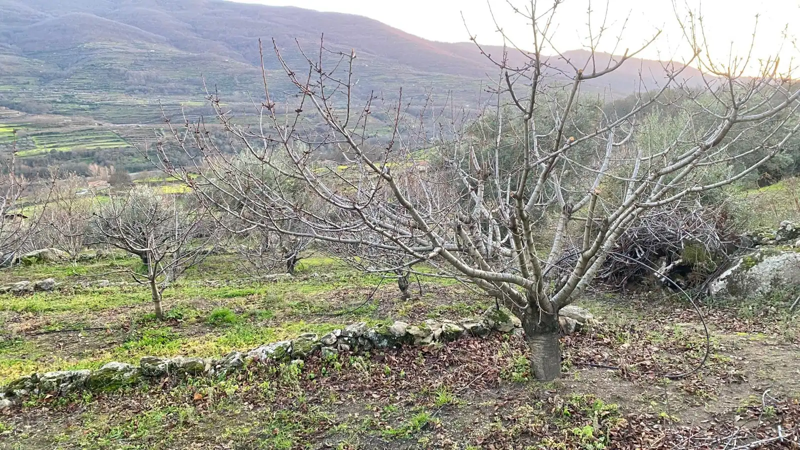 Terreni e lotti in vendita a El Torno, imagen 17