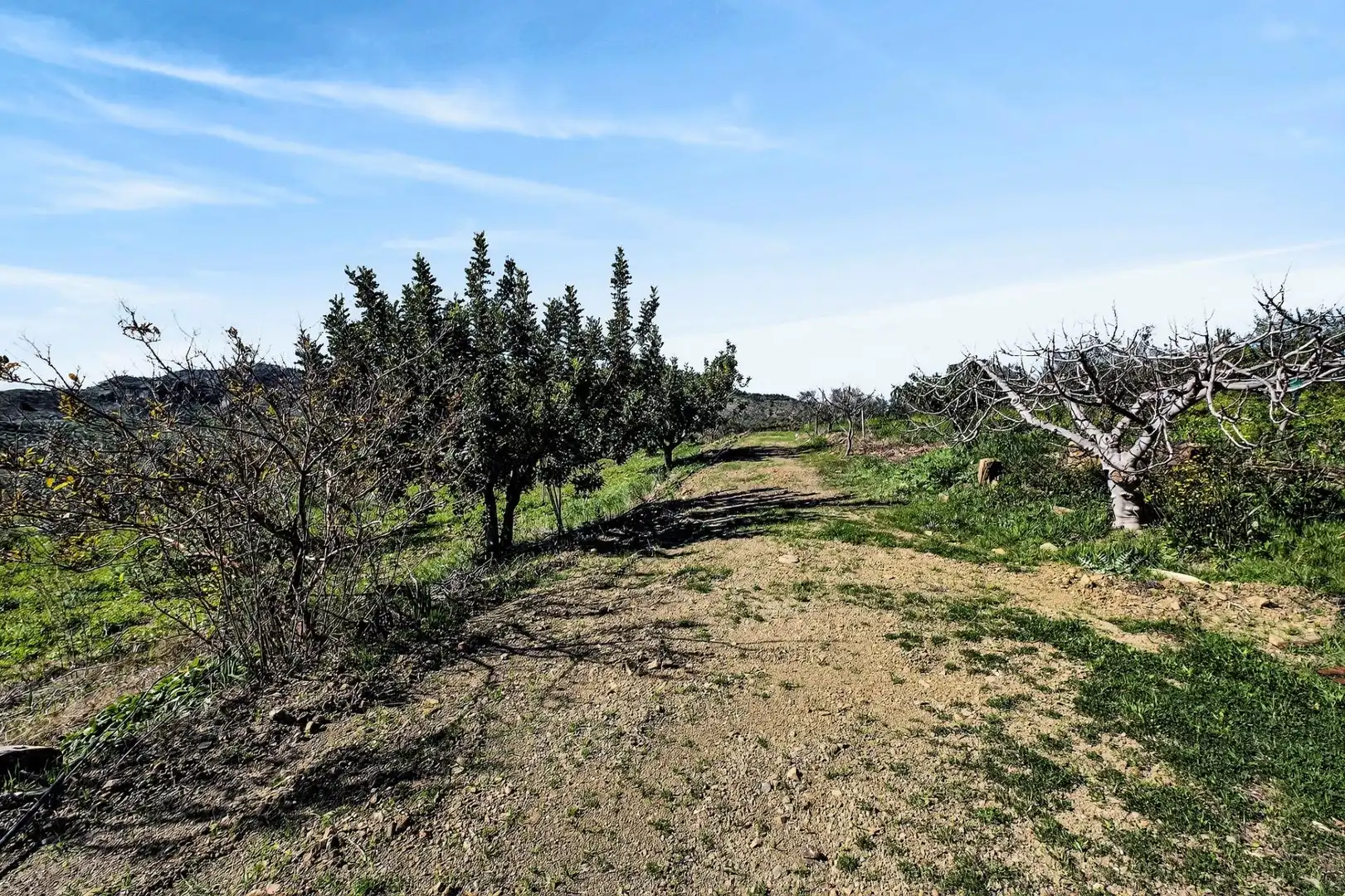 Residencial en venta en Cártama
