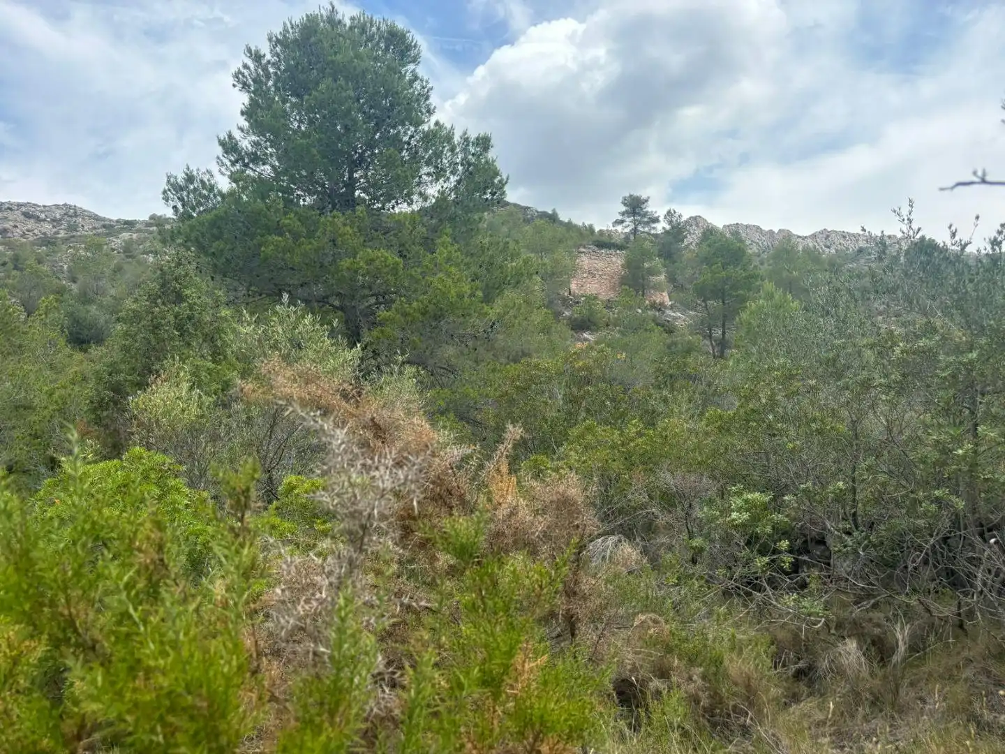 Terreno en venta en Tivissa