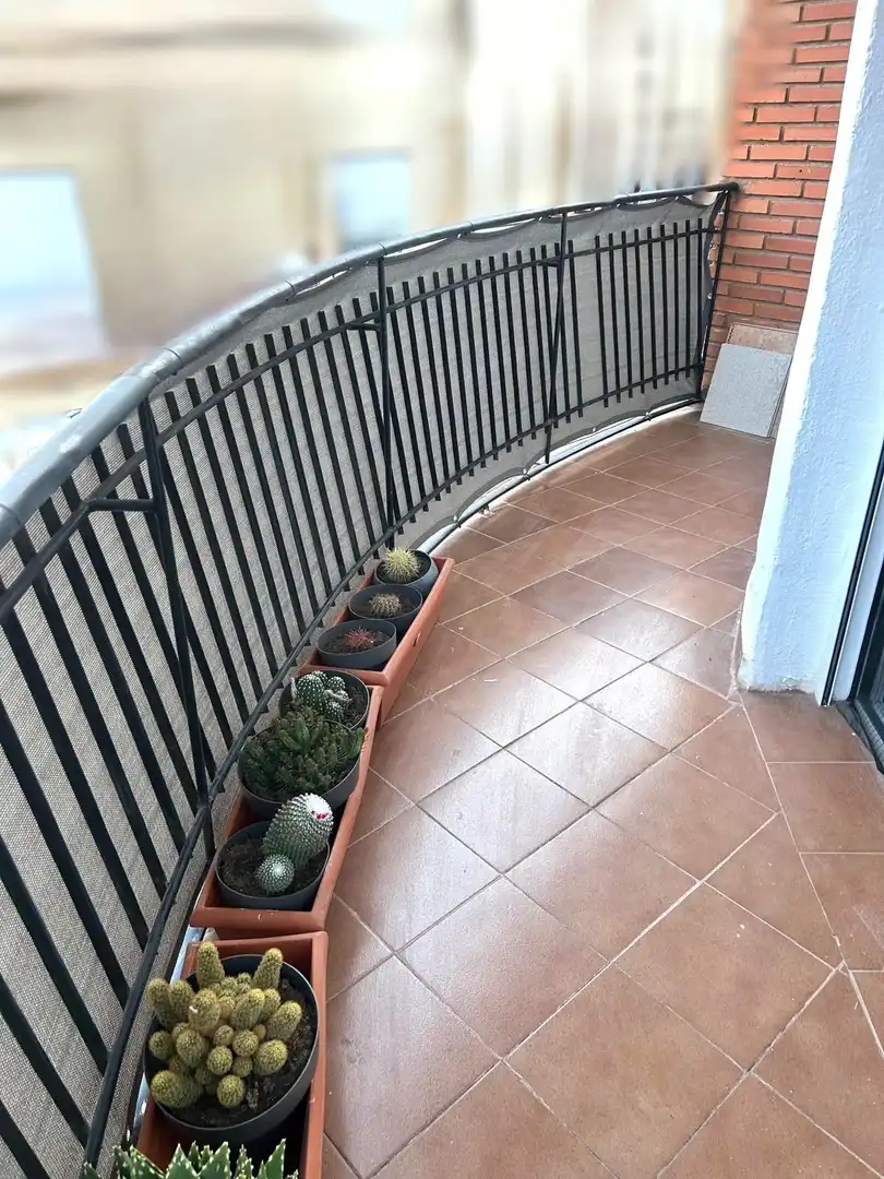 Piso con terraza en venta en Industria, imagen 3