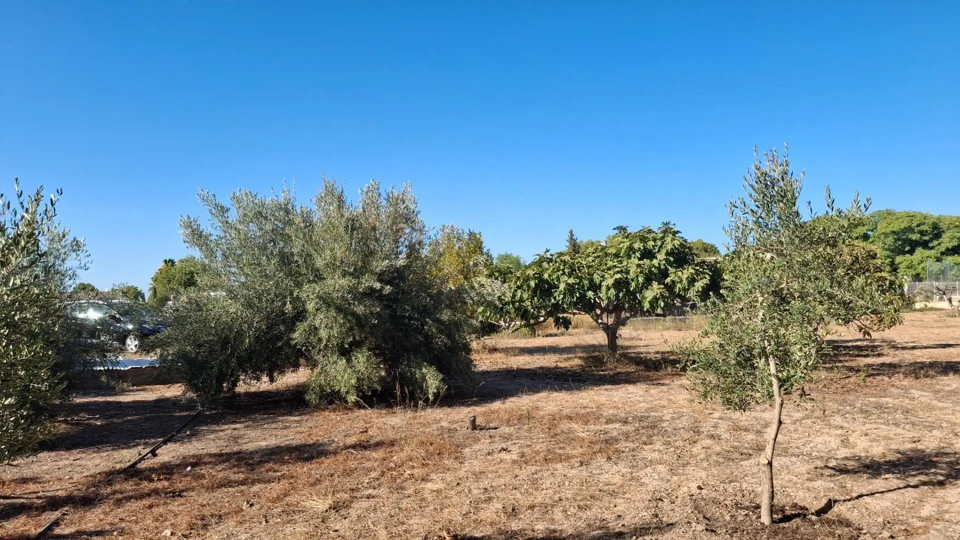 Terrenys i solars en venda a Torreguil, imagen 16