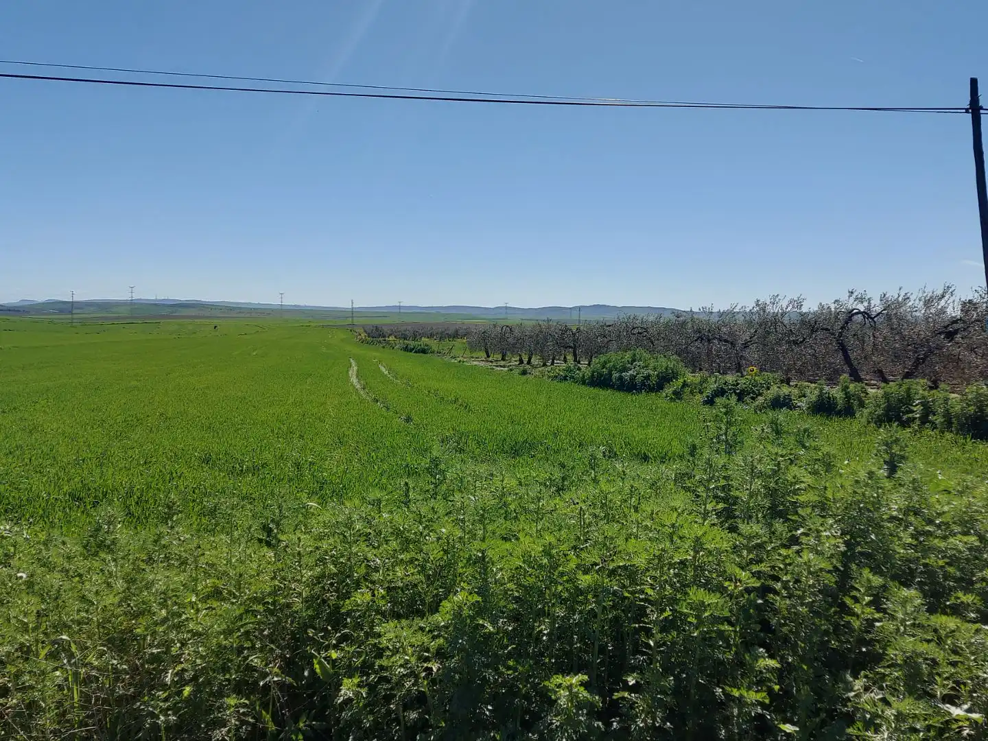 Terreny rústic en venda a Carretera A-477 4, imagen 5