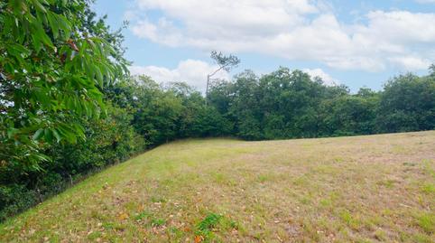 Foto 5 de Residencial en venda a Lugar Quintana, Villaperez, Prado Huerta Abajo, Parroquias Norte - Naranco, Asturias