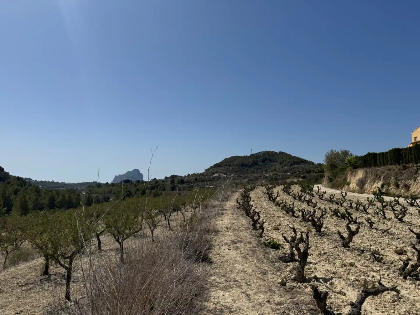 Terrenos y solares en venta en Benissa pueblo, imagen 2