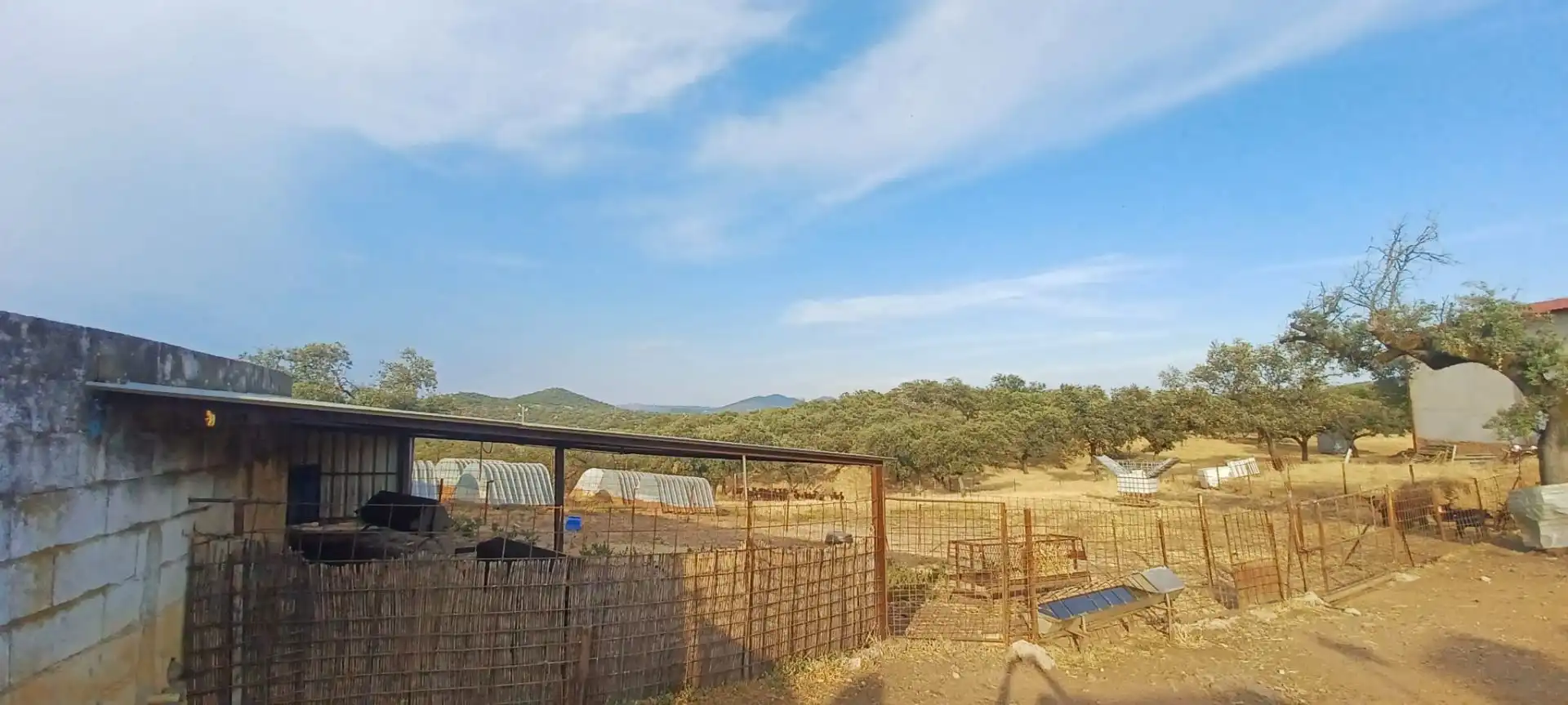Terreny rústic en venda a Santa Olalla del Cala, imagen 29