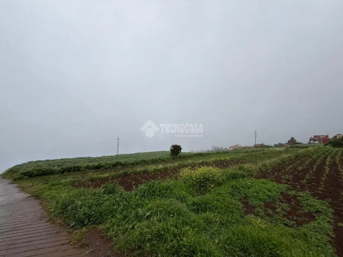 Terreny rústic en venda a Los Realejos pueblo