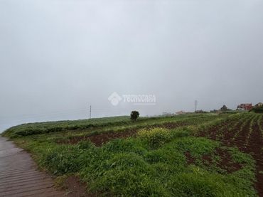 Terreno rústico en venta en Los Realejos pueblo