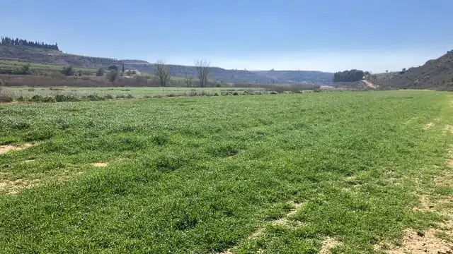 Terreni e lotti in vendita a Zaidín