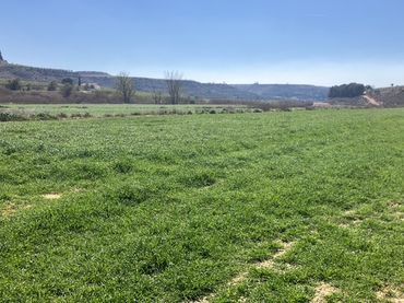 Terreno rústico en venta en Zaidín