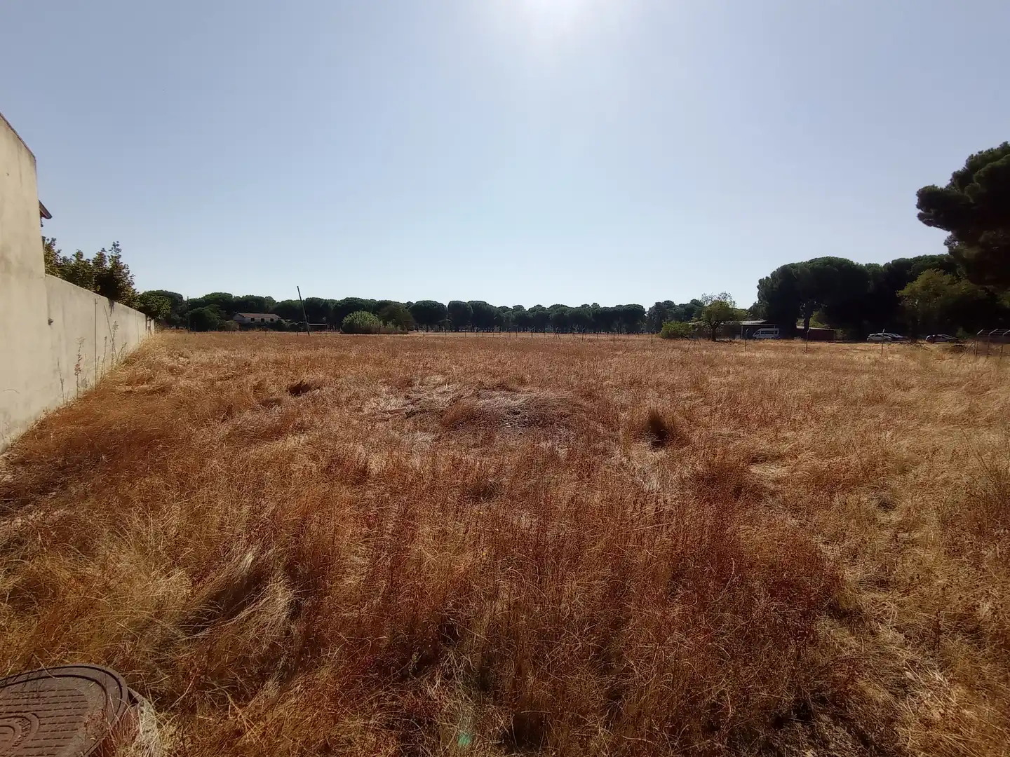 Terreno industrial en venta en Laguna de Duero