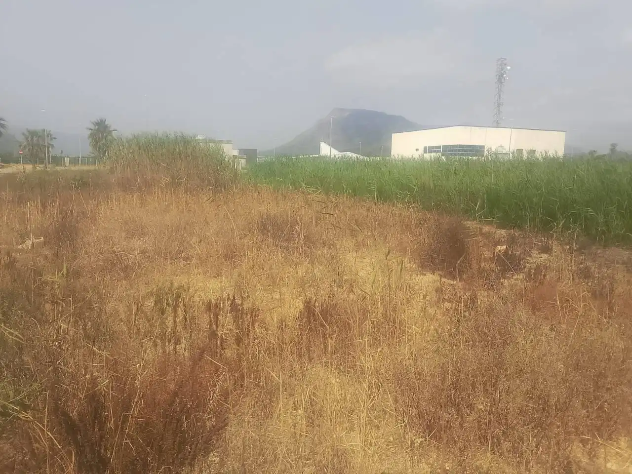 Industrial land for sale in Calle Estacio, imagen 7