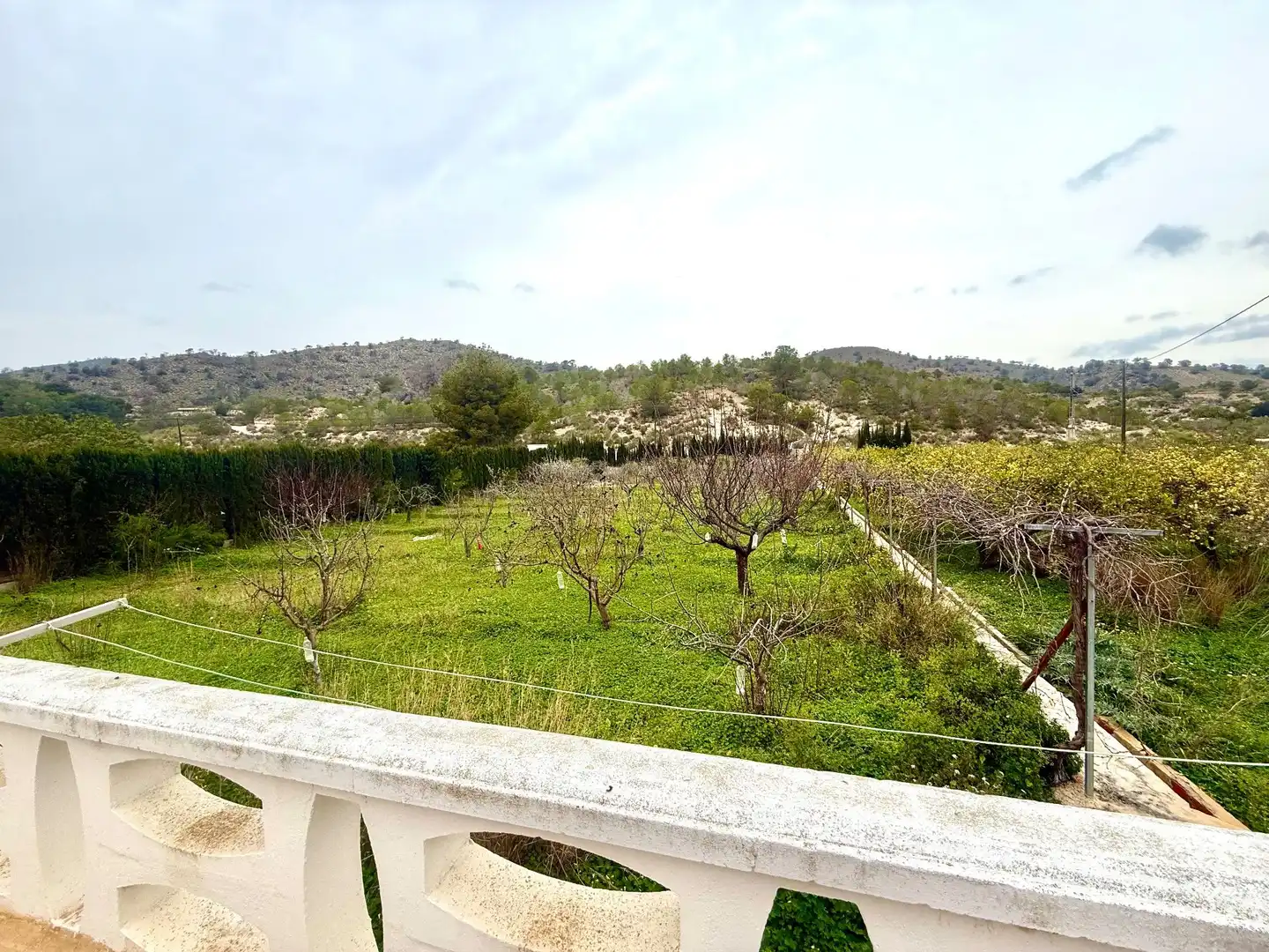 House with pool for sale in El Secanet - Hacienda del Sol, imagen 4
