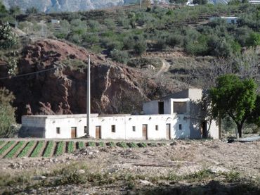 Terrain rustique à vendre à Paraje Cañada del Cuzco 37