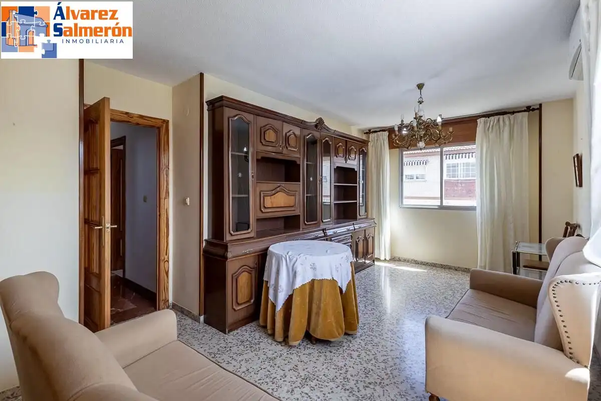 Sala d'estar de Pis en venda en Granada amb Aire condicionat i Calefacció