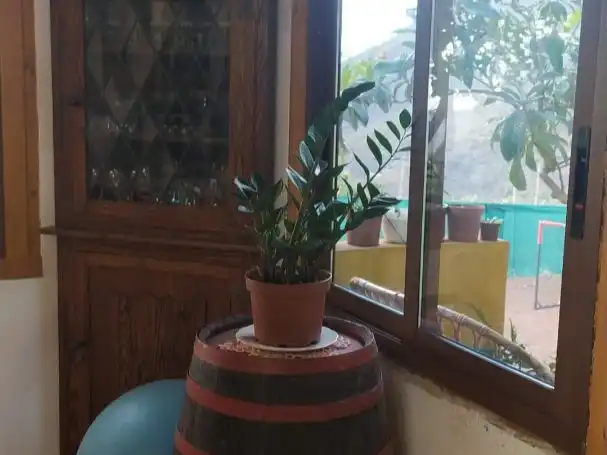 Casa con jardín en venta en Calle el Gomero 88, imagen 18