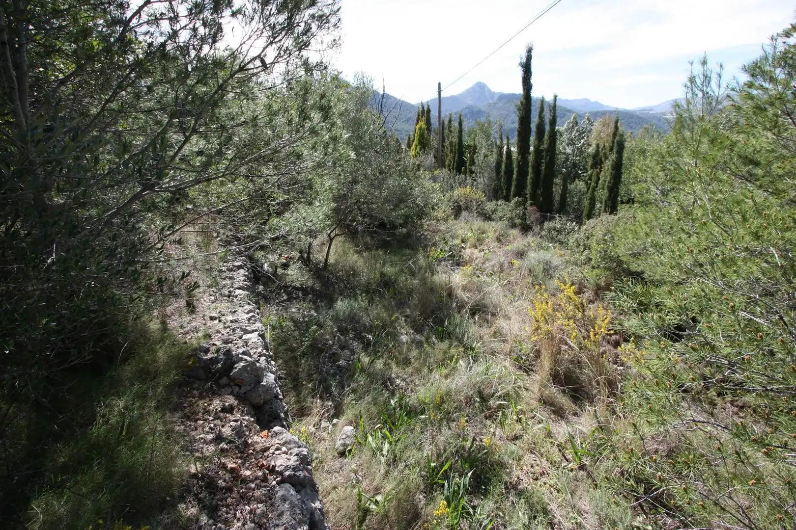 Residential land for sale in Orba, imagen 7