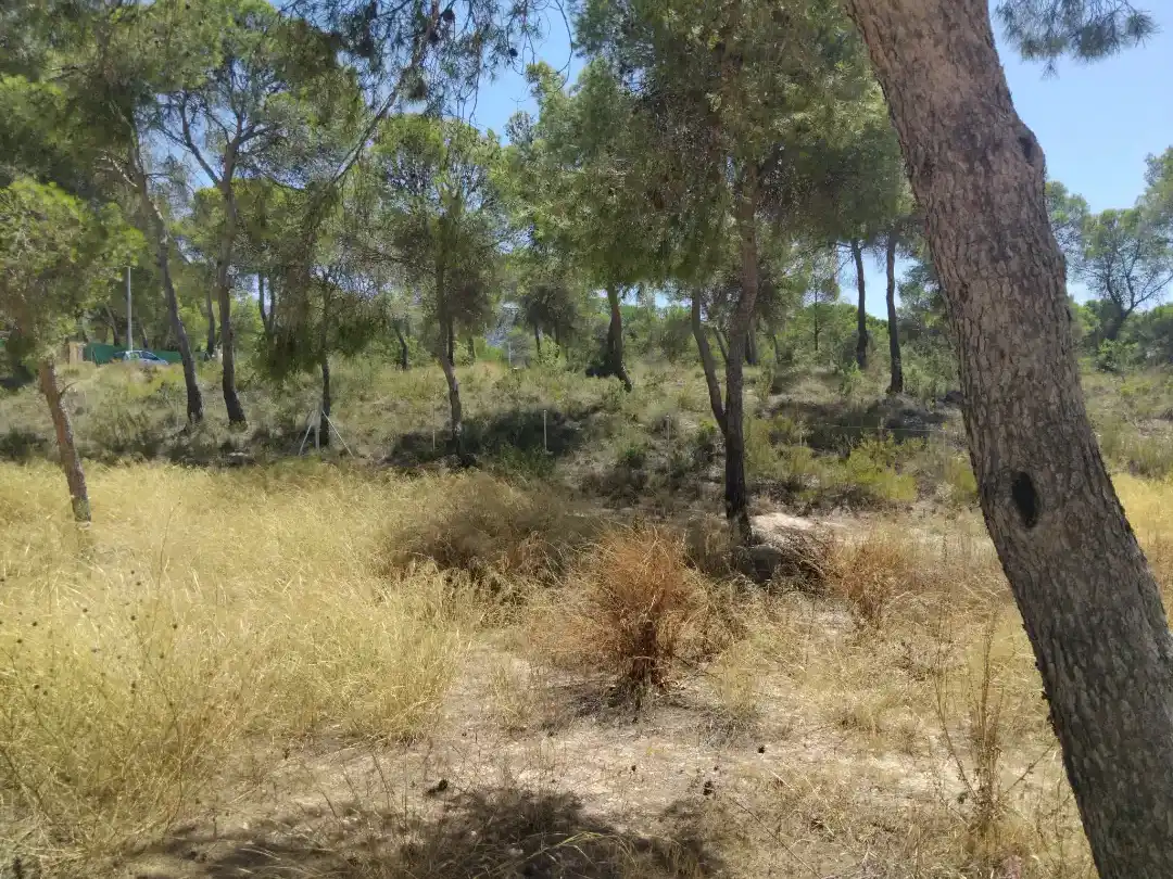 Wohnbaugrundstück zum Verkauf in Carrer Cervantes 71, imagen 14