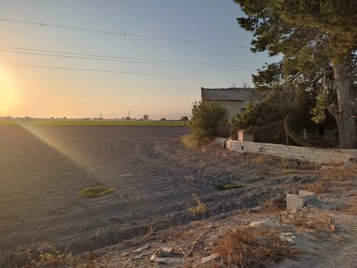 Terreni e lotti in vendita a San Fulgencio