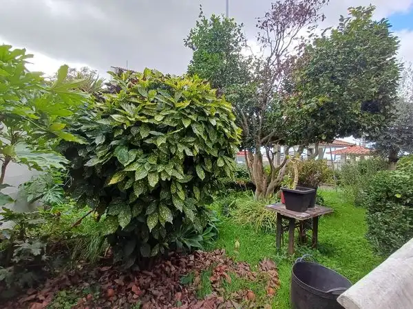 Casa con giardino in vendita a Avenida do Aeroporto, imagen 9